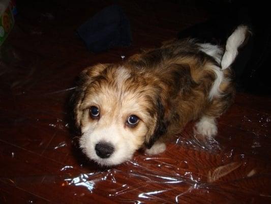 photo of Meredith S.