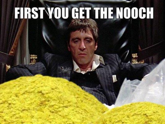 Photo of Nooch X.