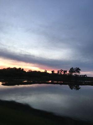 photo of Halseyconfession.s ..