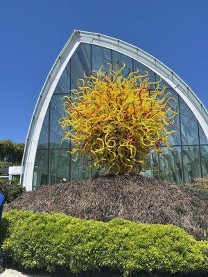 Photo of Jennifer P.