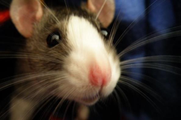 photo of Michelle S.