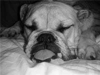 photo of Samantha M.