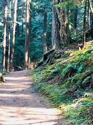 photo of Marco James P.