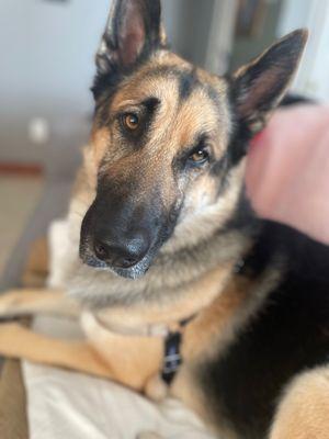 photo of Veronica F.