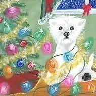 photo of Victoria S.