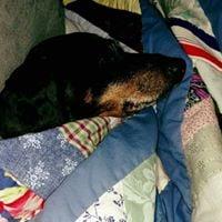 photo of Kathrine K.