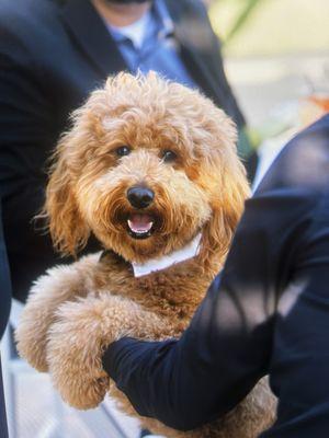 photo of Nicholas G.