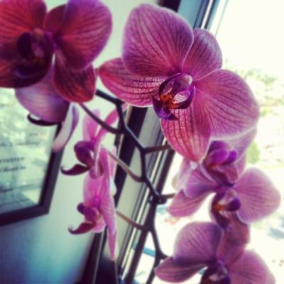 photo of Caroline B.