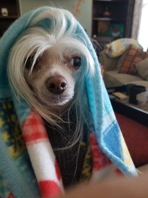Photo of Molly A.