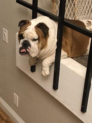 photo of Christina Z.