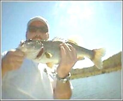 Photo of Mike B.