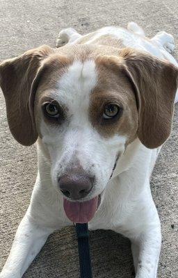 photo of Kimberly M.