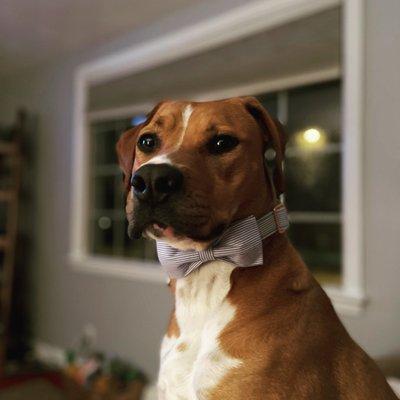 Photo of Indy J.