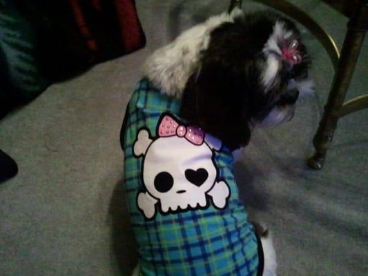 photo of Kell M.