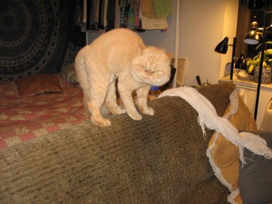 photo of Michelle C.