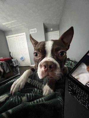 photo of Kimberly C.