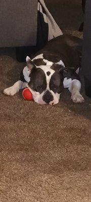 photo of Fernando U.