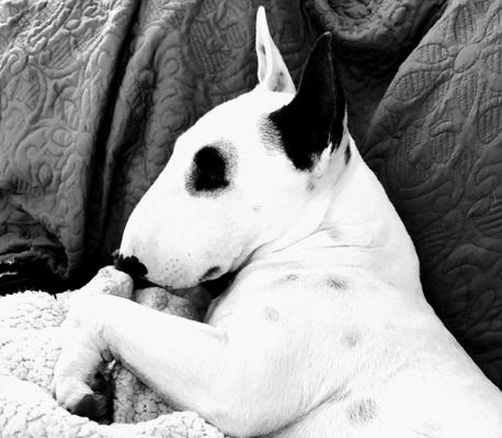 Photo of Christian C.