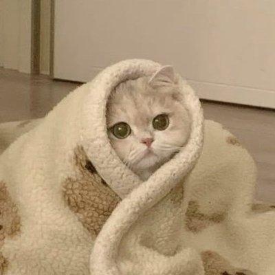 photo of Dominique G.