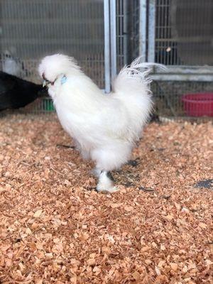 photo of Kathleen S.