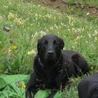 photo of Jennifer D.