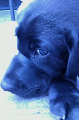 photo of John Paul P.