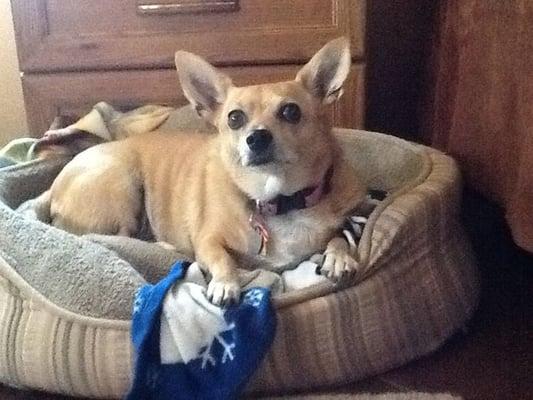 photo of Virginia G.