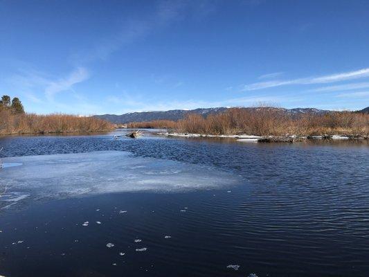 photo of Courtney A.