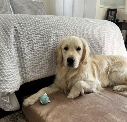 photo of Jennifer H.