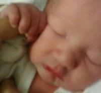 Photo of Iliana A.