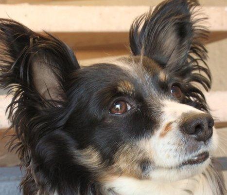 photo of Samantha L.