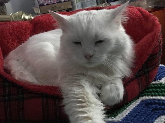 photo of Margaret H.