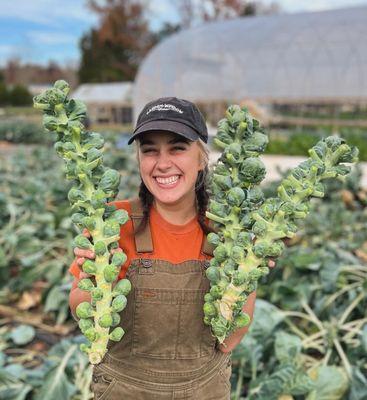 Photo of Lindsey L.
