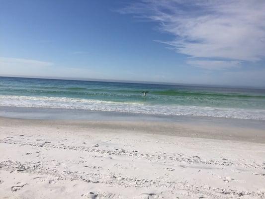 photo of Nicholas P.