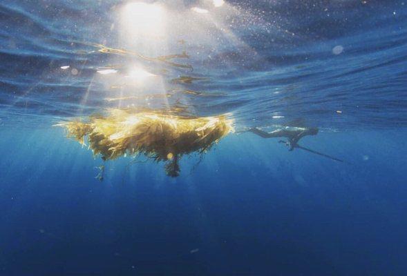 photo of Kristopher S.