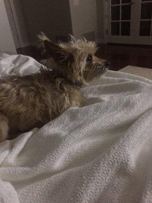 photo of Benjamin G.