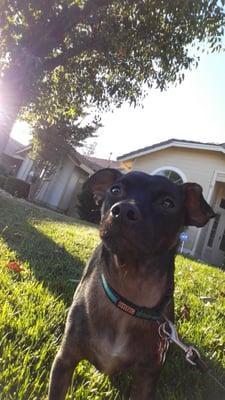 photo of Jennifer T.