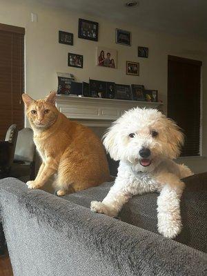 photo of Veronica B.