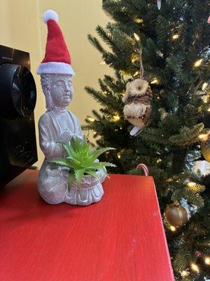 photo of Christine B.