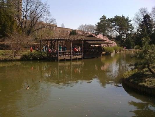 Photo of Badbusiness W.