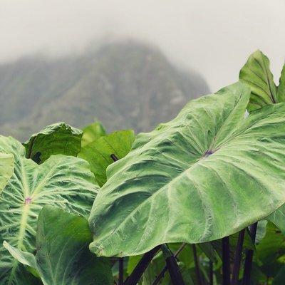 Photo of Samantha S.