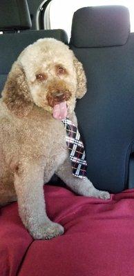 photo of stephanie g.