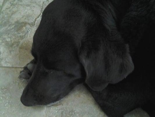 photo of Kimberli K.