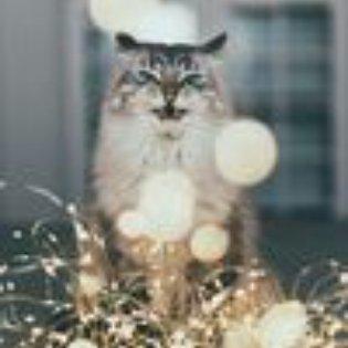 Photo of Amythist C.