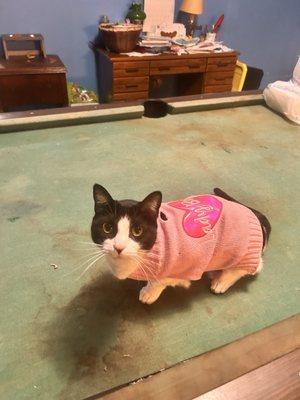 photo of Charlotte L.