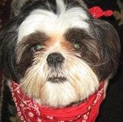Photo of Marla R.