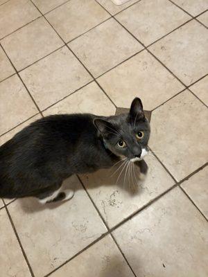 Photo of Daisy Mae