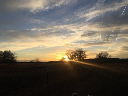 photo of Stacie L.