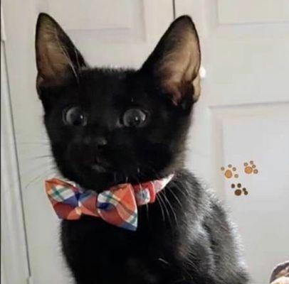 Photo of Chance B.