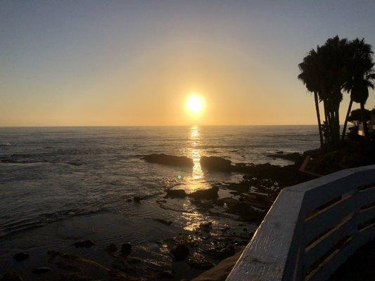 photo of Golbenaz S.